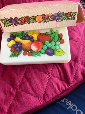 Rare Collectible  Table Top Crumb Sweeper with Colorful Fruit Illustration